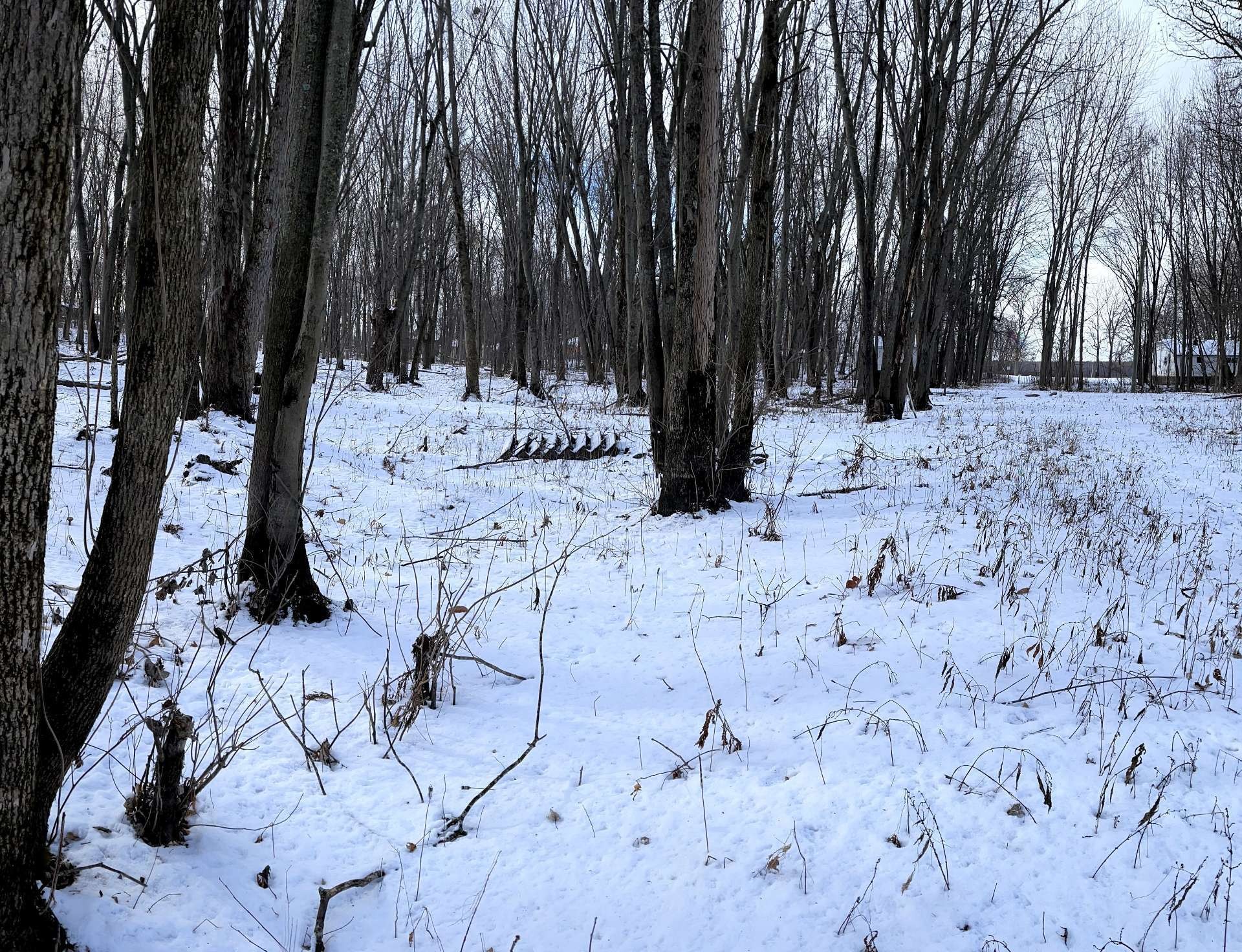 












Rue des Pionniers

,
Saint-André-d'Argenteuil,







QC
J0V1X0

