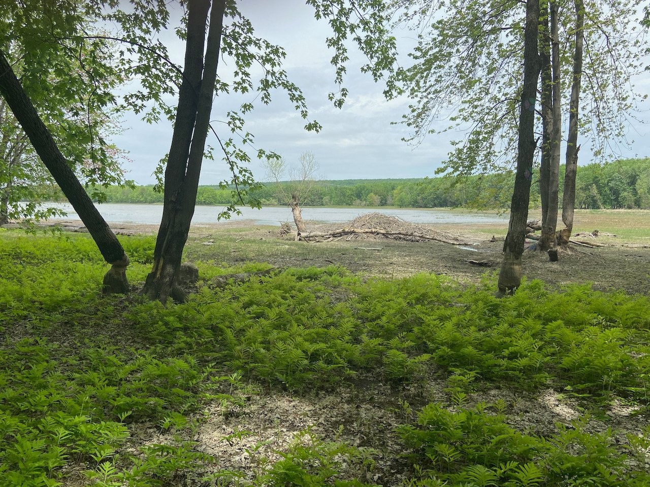 












Rue des Pionniers

,
Saint-André-d'Argenteuil,







QC
J0V1X0

