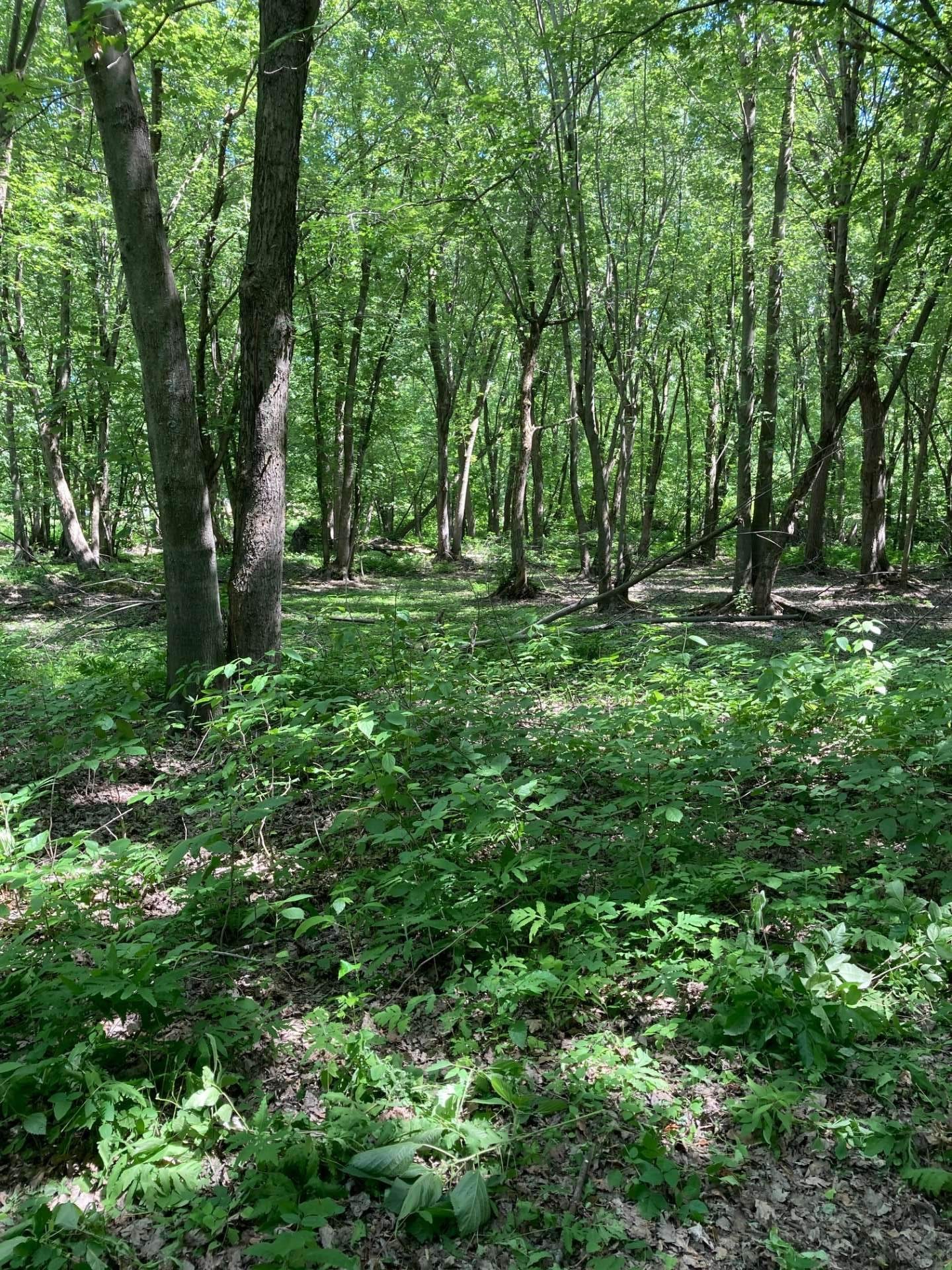 












Rue des Pionniers

,
Saint-André-d'Argenteuil,







QC
J0V1X0

