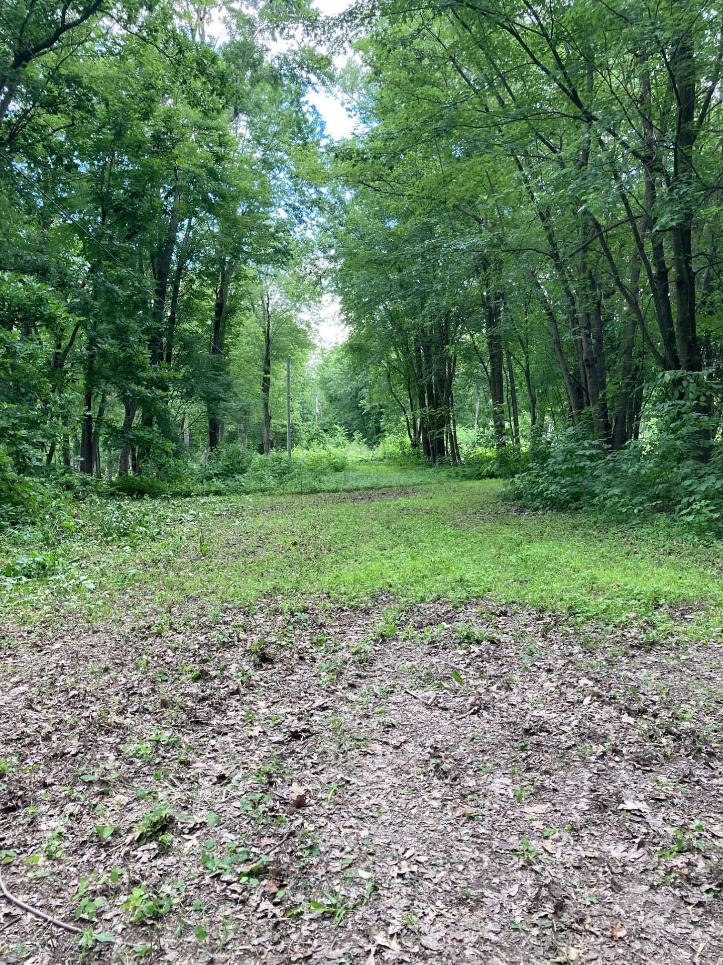 












Rue des Pionniers

,
Saint-André-d'Argenteuil,







QC
J0V1X0

