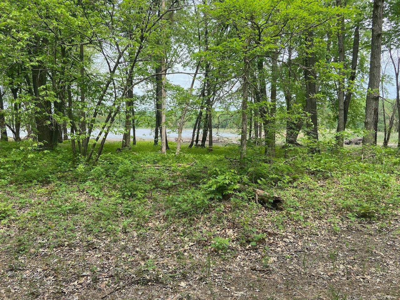 












Rue des Pionniers

,
Saint-André-d'Argenteuil,







QC
J0V1X0

