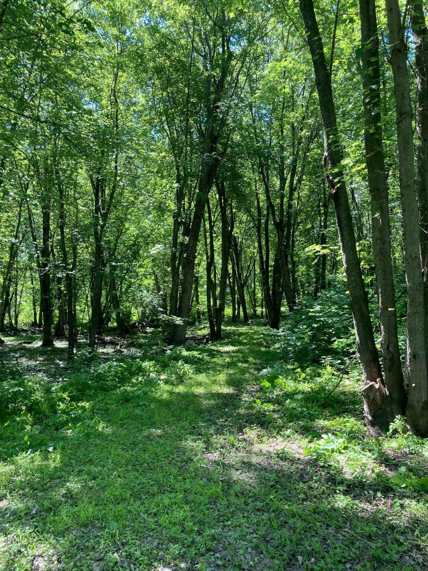 












Rue des Pionniers

,
Saint-André-d'Argenteuil,







QC
J0V1X0

