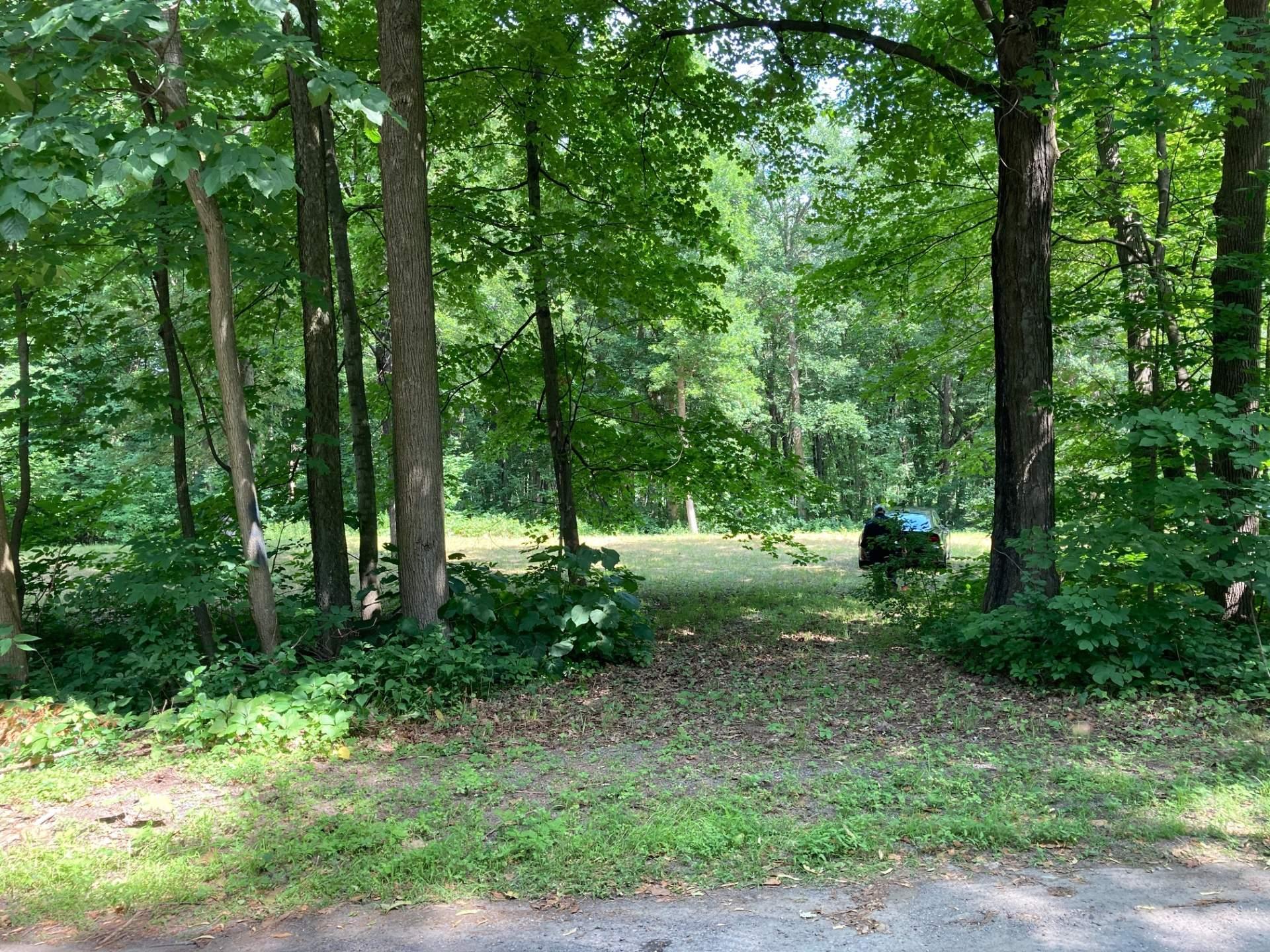 












Rue des Pionniers

,
Saint-André-d'Argenteuil,







QC
J0V1X0

