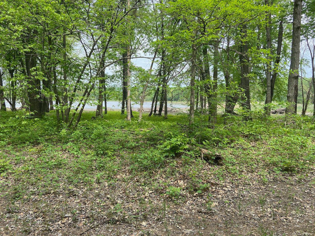 












Rue des Pionniers

,
Saint-André-d'Argenteuil,







QC
J0V1X0

