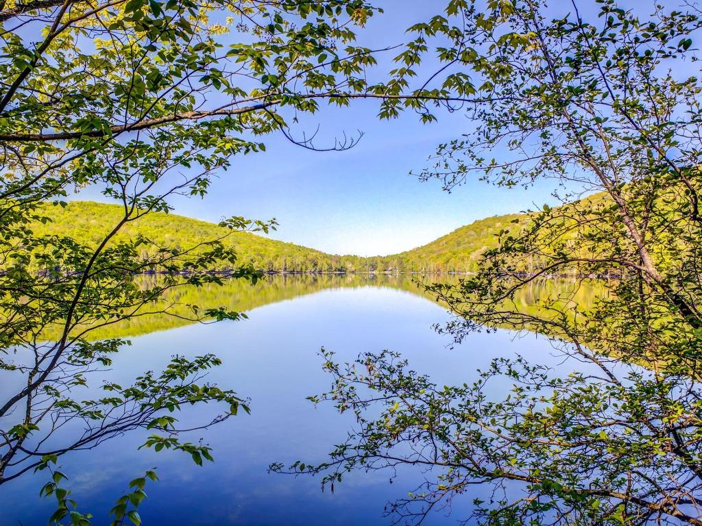 









115


Ch. des Futaies

,
Mont-Tremblant,




QC
J8E0E7

