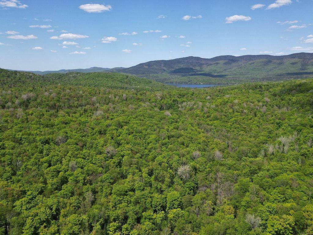 









115


Ch. des Futaies

,
Mont-Tremblant,




QC
J8E0E7

