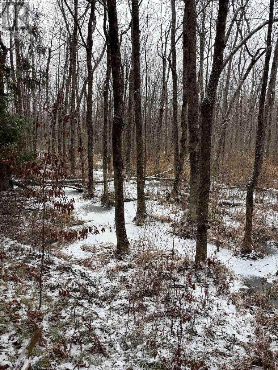 












0 WOLFORD CENTRE ROAD

,
Merrickville-Wolford,







Ontario
K0G1N0

