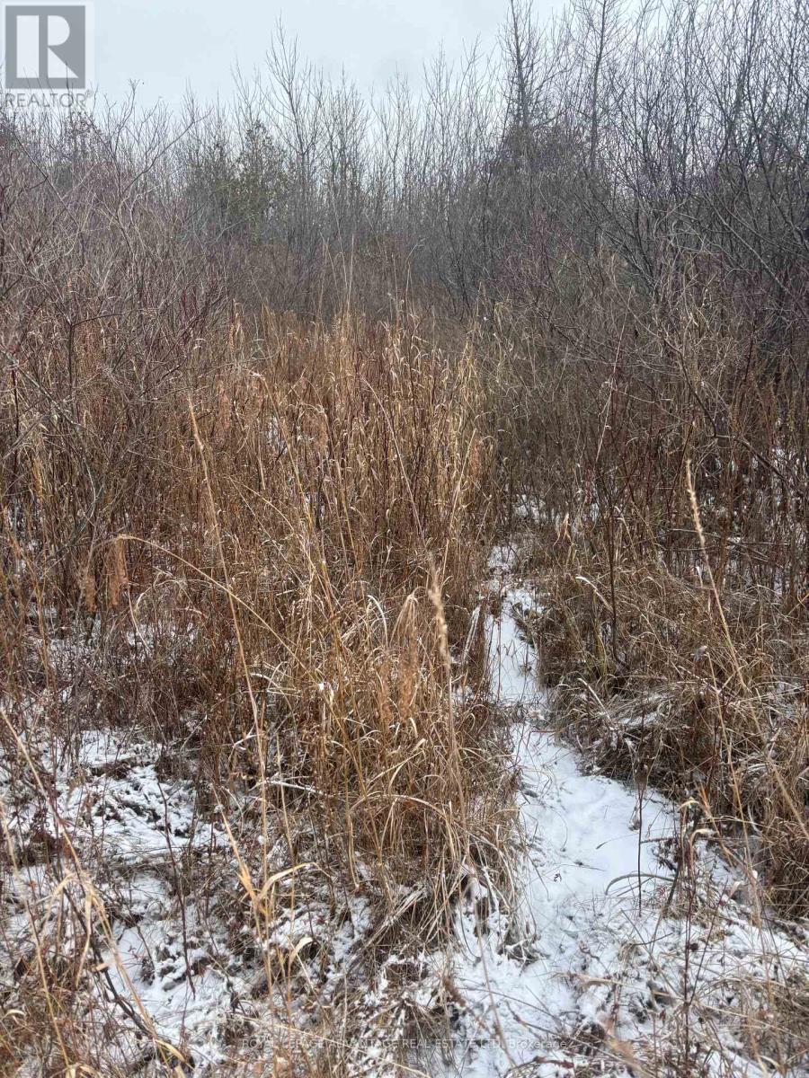 












0 WOLFORD CENTRE ROAD

,
Merrickville-Wolford,







Ontario
K0G1N0

