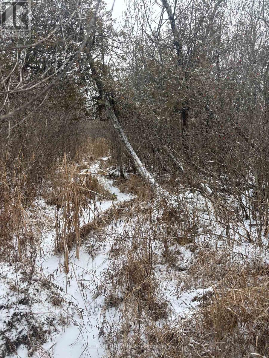 












0 WOLFORD CENTRE ROAD

,
Merrickville-Wolford,







Ontario
K0G1N0

