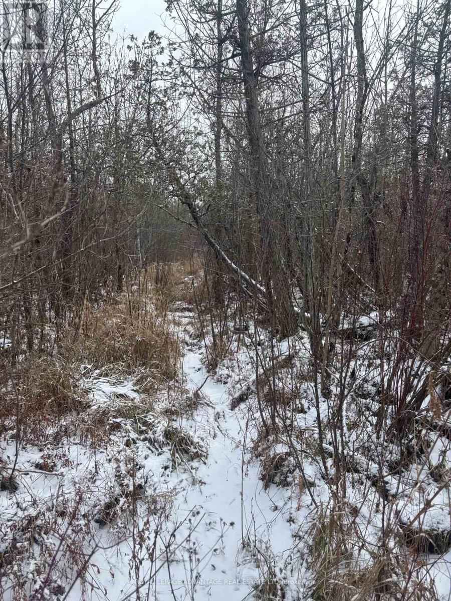 












0 WOLFORD CENTRE ROAD

,
Merrickville-Wolford,







Ontario
K0G1N0

