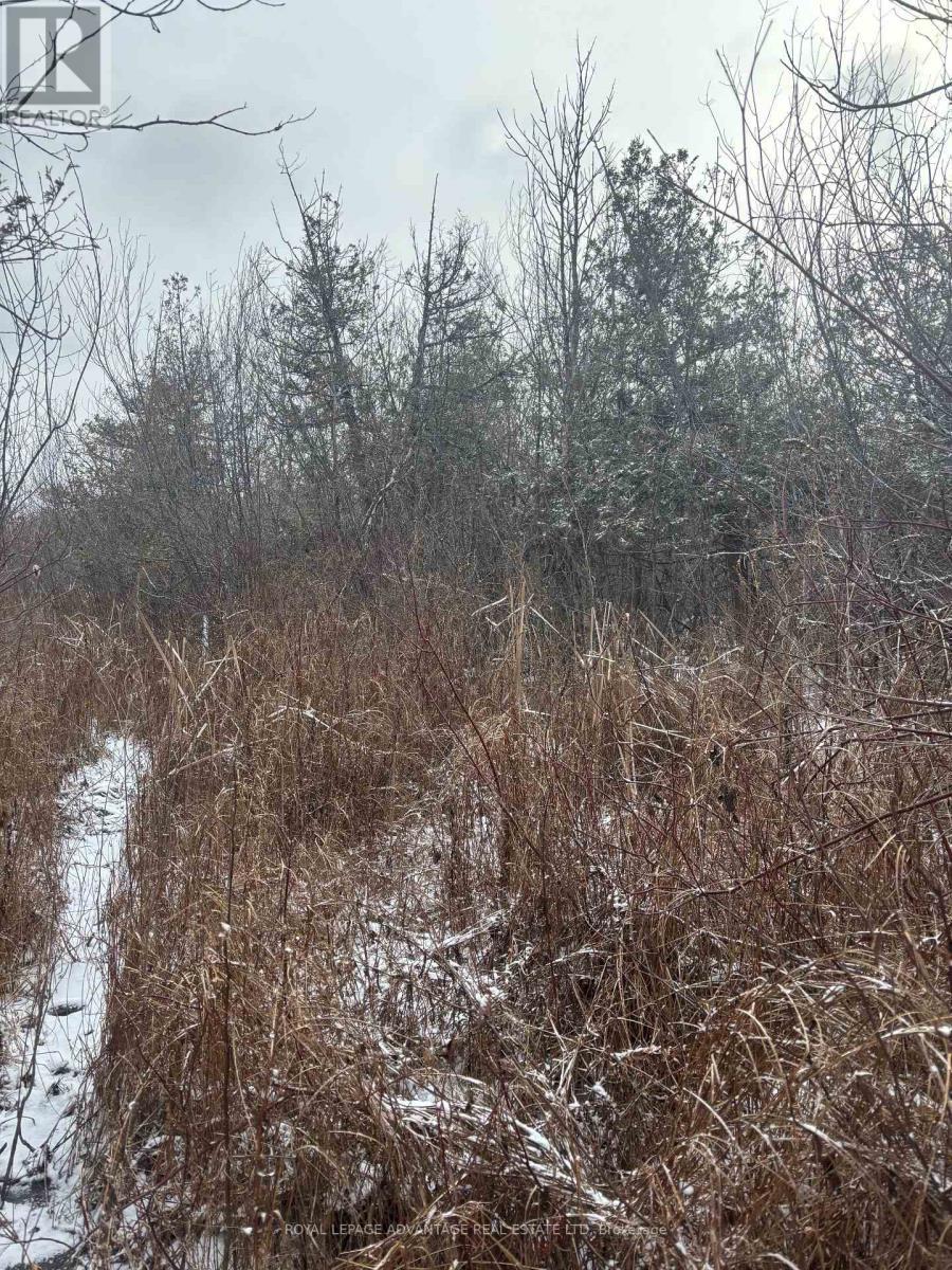 












0 WOLFORD CENTRE ROAD

,
Merrickville-Wolford,







Ontario
K0G1N0

