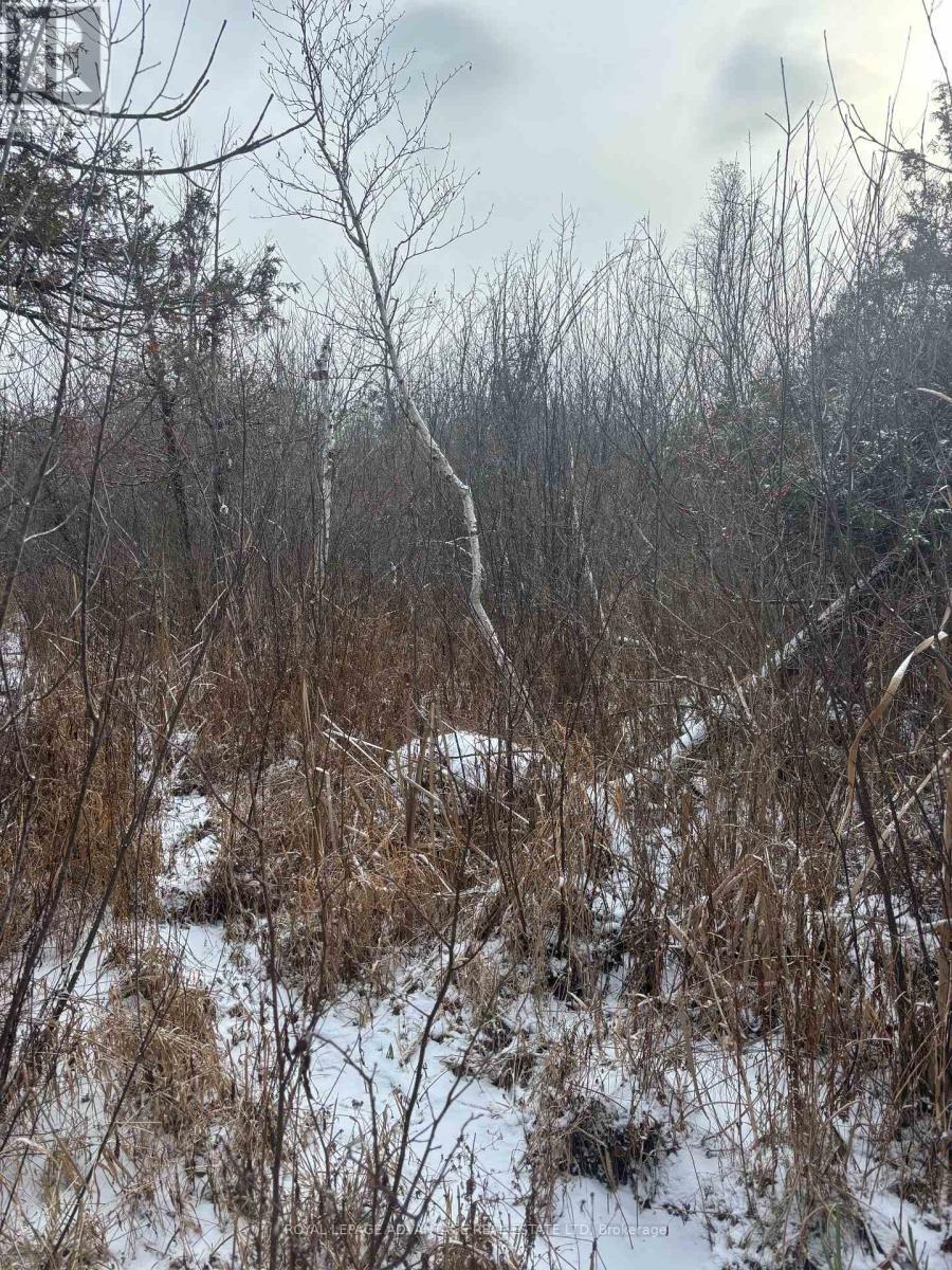 












0 WOLFORD CENTRE ROAD

,
Merrickville-Wolford,







Ontario
K0G1N0

