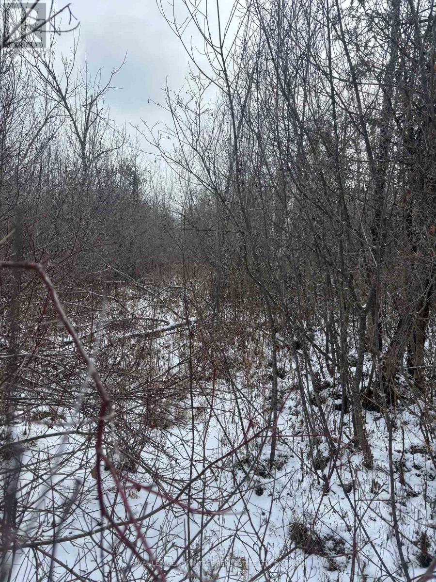 












0 WOLFORD CENTRE ROAD

,
Merrickville-Wolford,







Ontario
K0G1N0

