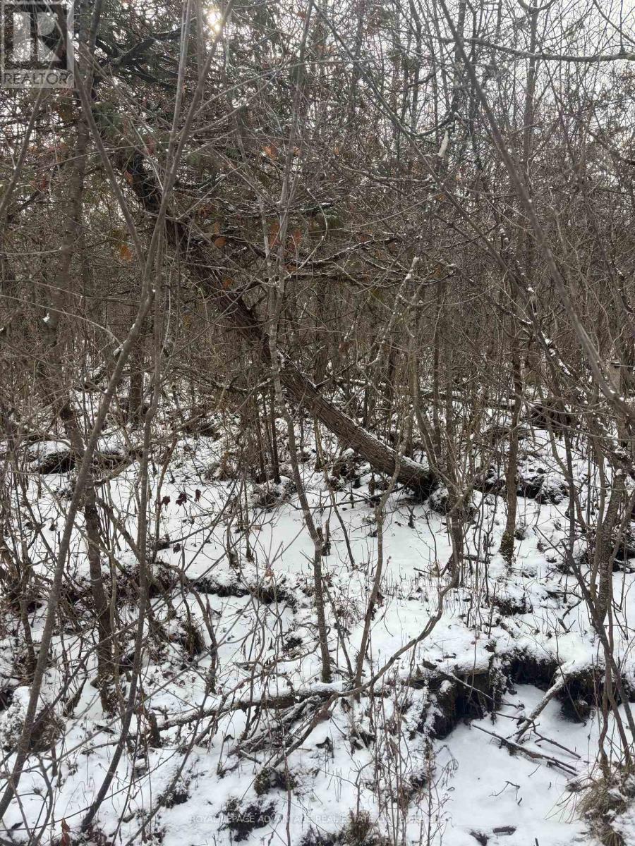 












0 WOLFORD CENTRE ROAD

,
Merrickville-Wolford,







Ontario
K0G1N0

