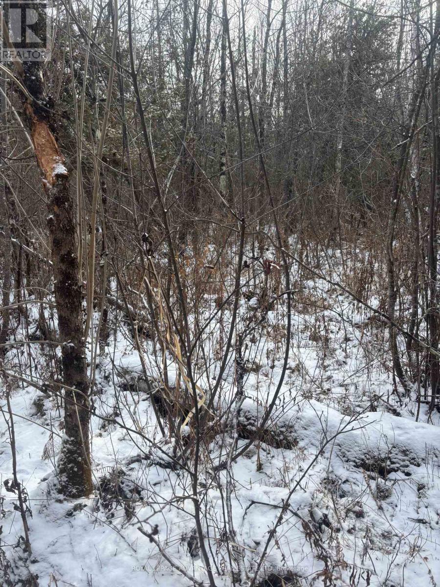 












0 WOLFORD CENTRE ROAD

,
Merrickville-Wolford,







Ontario
K0G1N0

