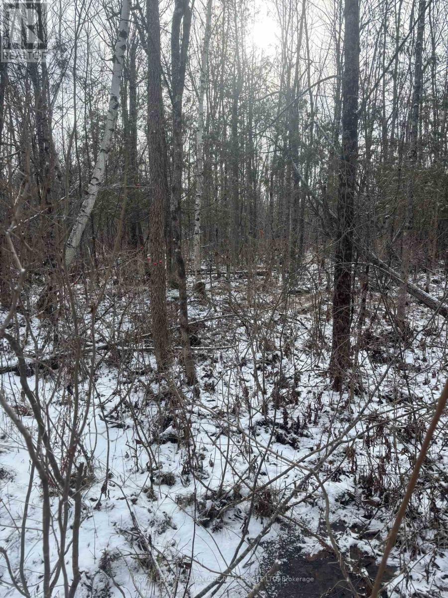 












0 WOLFORD CENTRE ROAD

,
Merrickville-Wolford,







Ontario
K0G1N0

