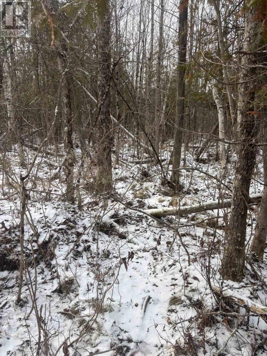 












0 WOLFORD CENTRE ROAD

,
Merrickville-Wolford,







Ontario
K0G1N0

