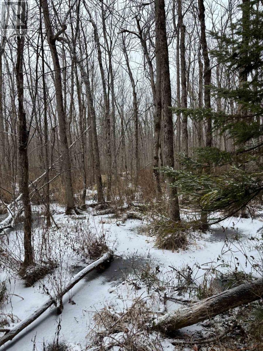 












0 WOLFORD CENTRE ROAD

,
Merrickville-Wolford,







Ontario
K0G1N0

