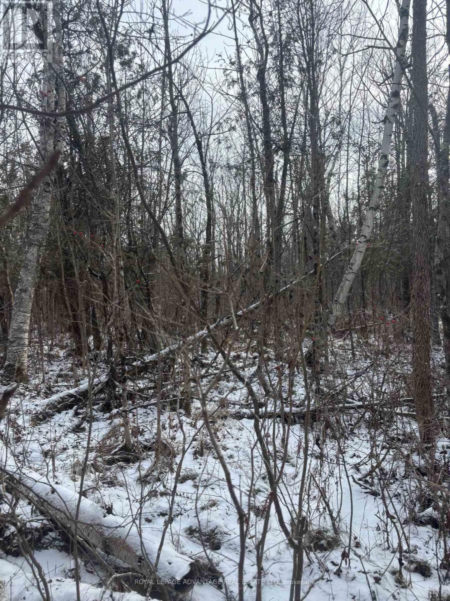 












0 WOLFORD CENTRE ROAD

,
Merrickville-Wolford,







Ontario
K0G1N0

