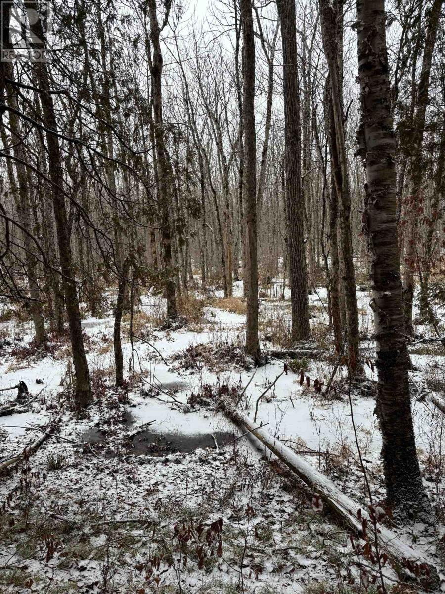 












0 WOLFORD CENTRE ROAD

,
Merrickville-Wolford,







Ontario
K0G1N0

