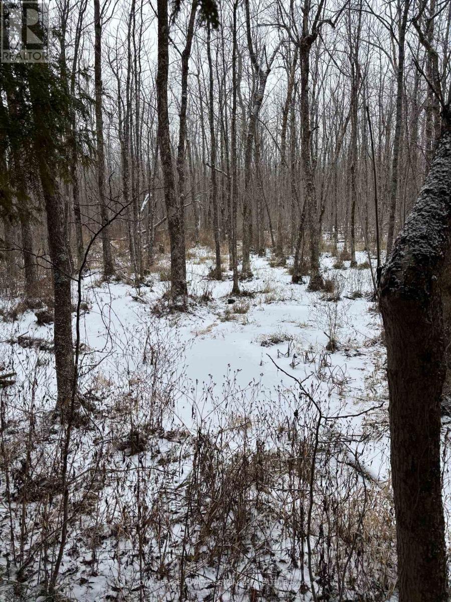 












0 WOLFORD CENTRE ROAD

,
Merrickville-Wolford,







Ontario
K0G1N0

