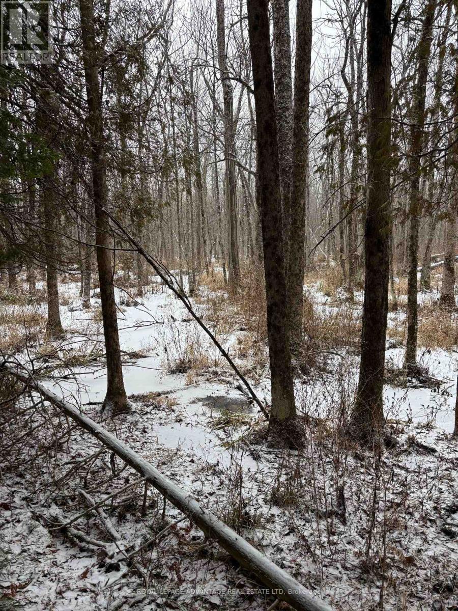 












0 WOLFORD CENTRE ROAD

,
Merrickville-Wolford,







Ontario
K0G1N0

