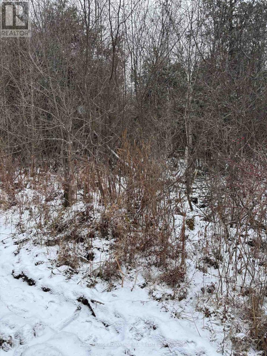 












0 WOLFORD CENTRE ROAD

,
Merrickville-Wolford,







Ontario
K0G1N0

