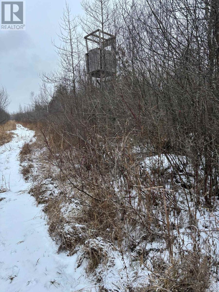 












0 WOLFORD CENTRE ROAD

,
Merrickville-Wolford,







Ontario
K0G1N0

