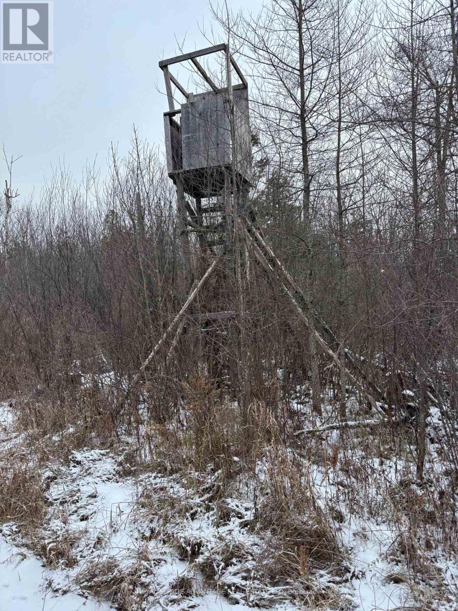 












0 WOLFORD CENTRE ROAD

,
Merrickville-Wolford,







Ontario
K0G1N0

