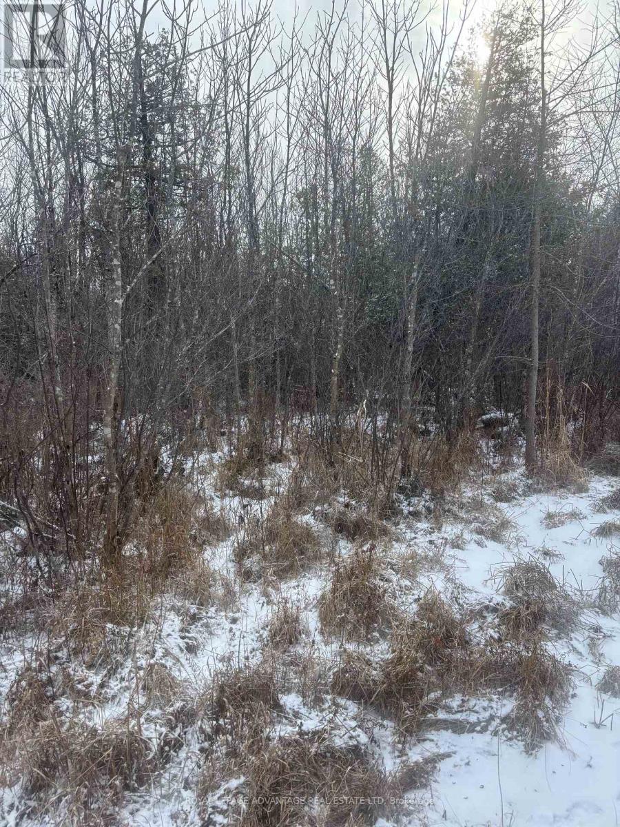 












0 WOLFORD CENTRE ROAD

,
Merrickville-Wolford,







Ontario
K0G1N0

