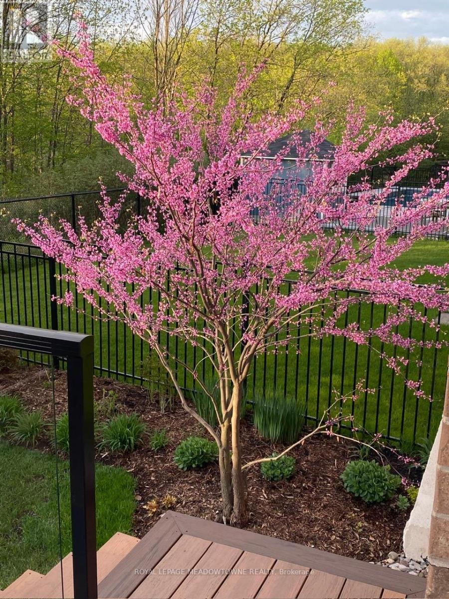 












633 WETTLAUFER TERRACE

,
Milton,




Ontario
L9T8N1

