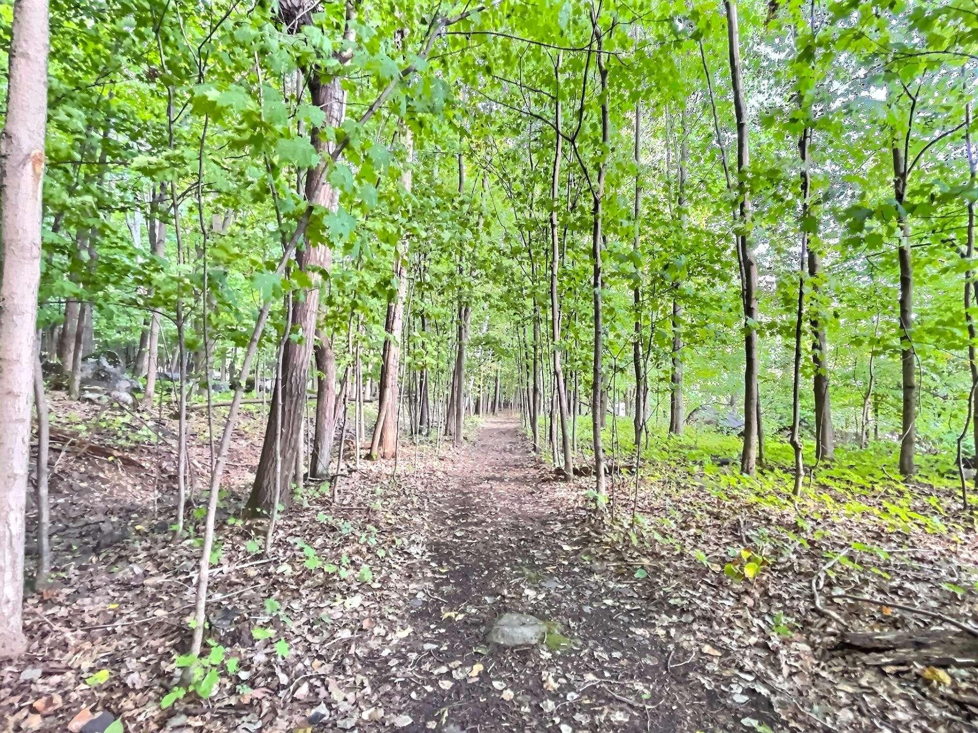 









987


Ch. de la Montagne

,
Mont-Saint-Hilaire,




QC
J3G4S6

