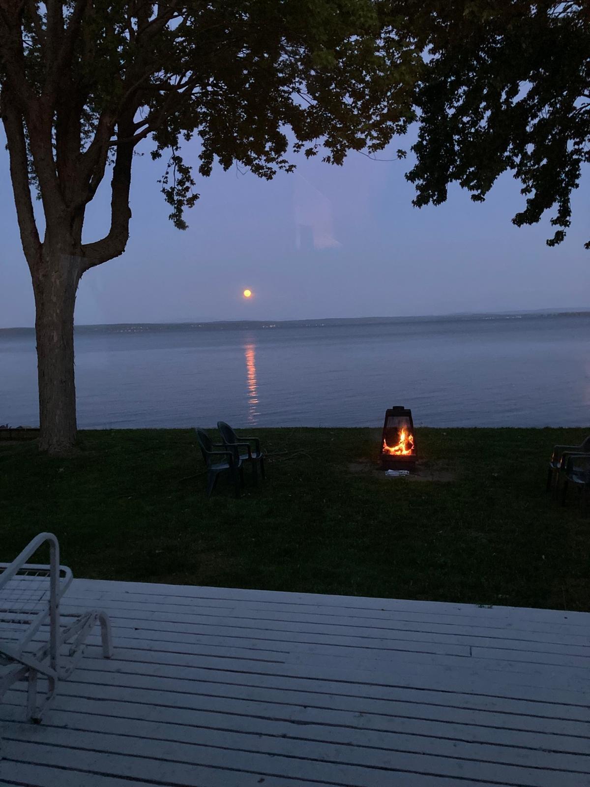 









724


Av. de Venise O.

,
Venise-en-Québec,




QC
J0J2K0


