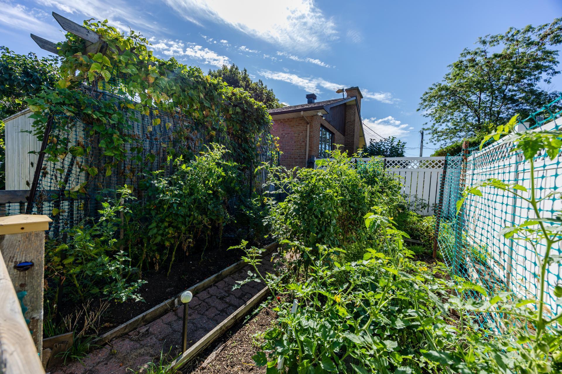 









104


Ch. du Vieux-Moulin

,
Notre-Dame-de-l'Île-Perrot,




QC
J7W3M2

