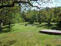 Terre/Terrain