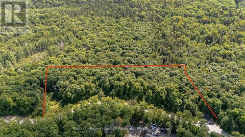 Approximate Property Lines - Road is One Border