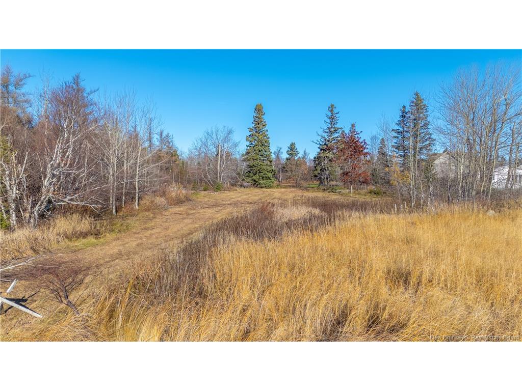 









22


de la Pointe

LANE,
Pointe-Brûlée,







NB
E8S 2T6

