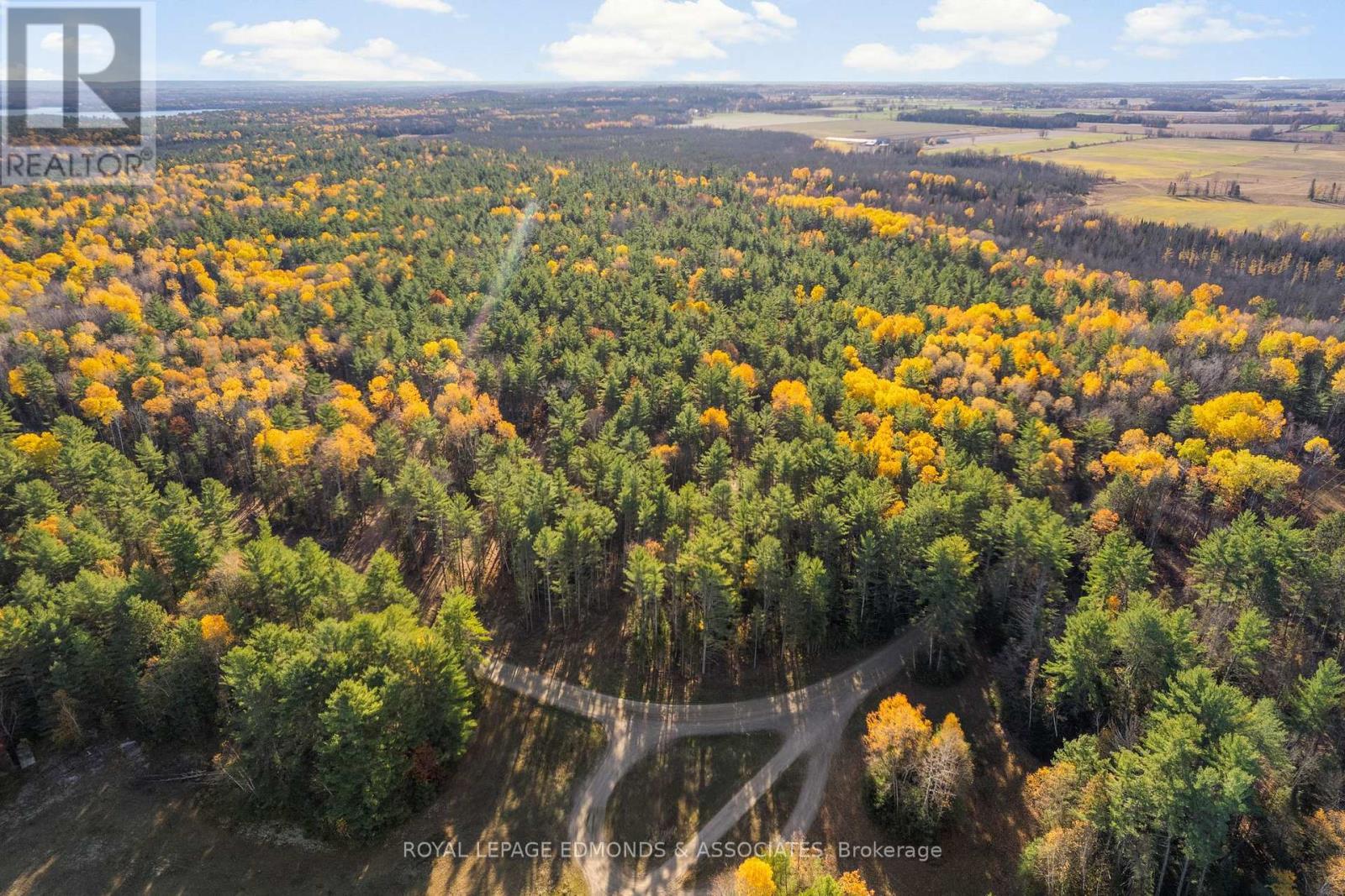 












100 NANGOR TRAIL

,
Whitewater Region,







Ontario
K0J2L0

