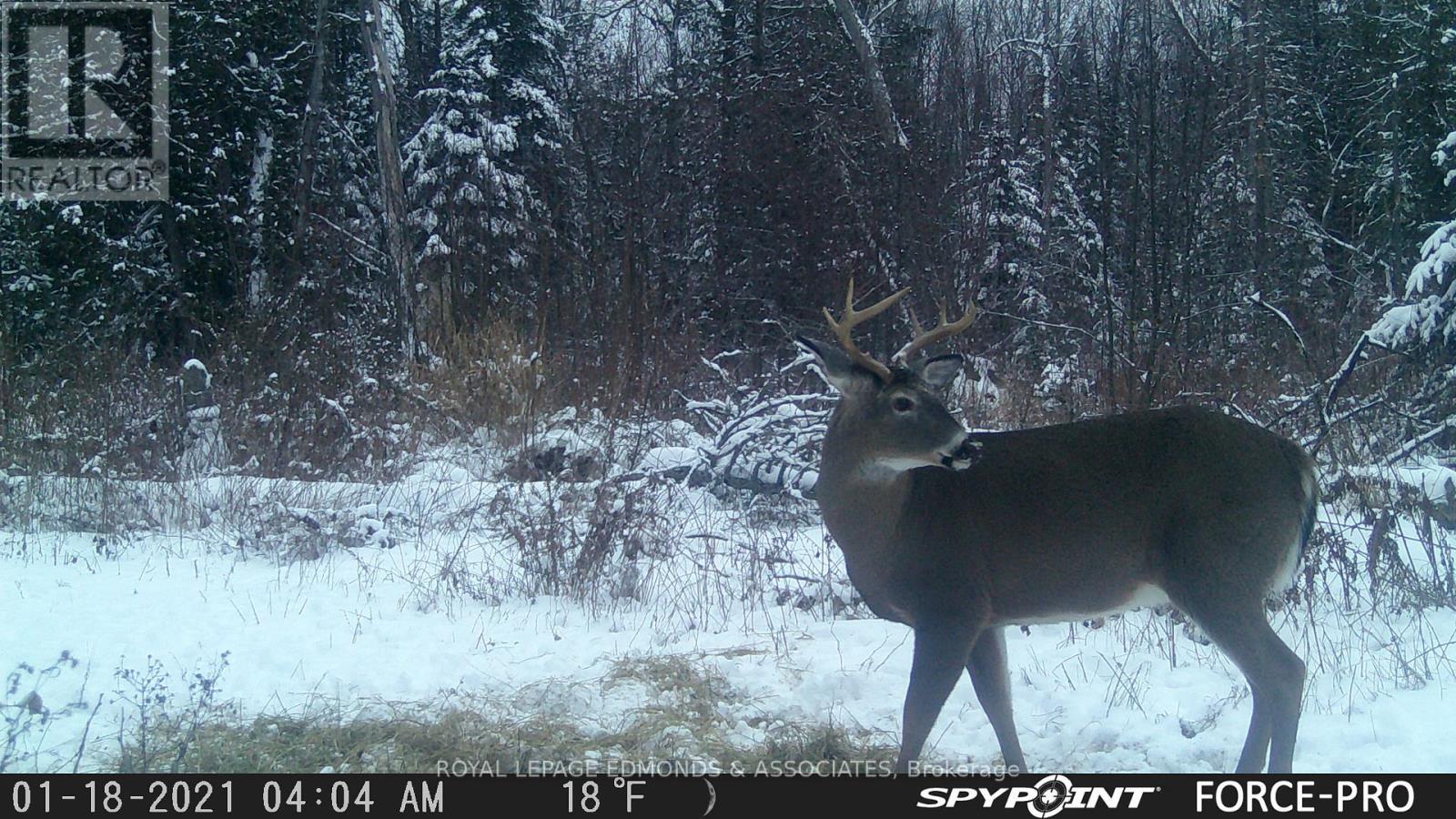 












0000 NANGOR TRAIL

,
Whitewater Region,







Ontario
K0J2L0

