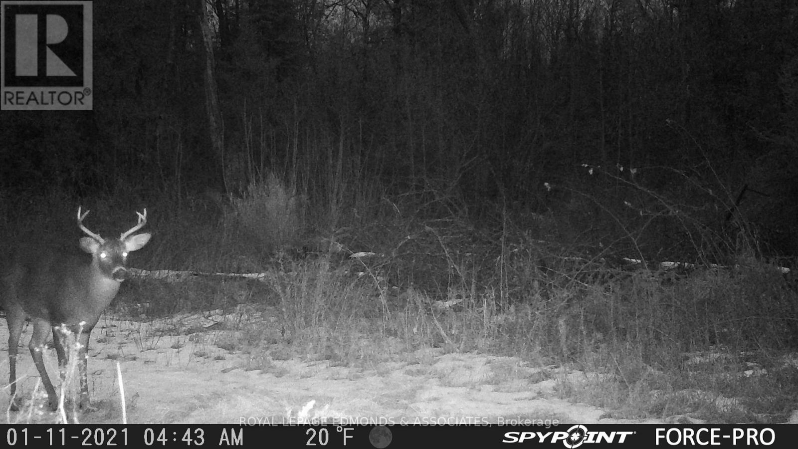 












0000 NANGOR TRAIL

,
Whitewater Region,







Ontario
K0J2L0

