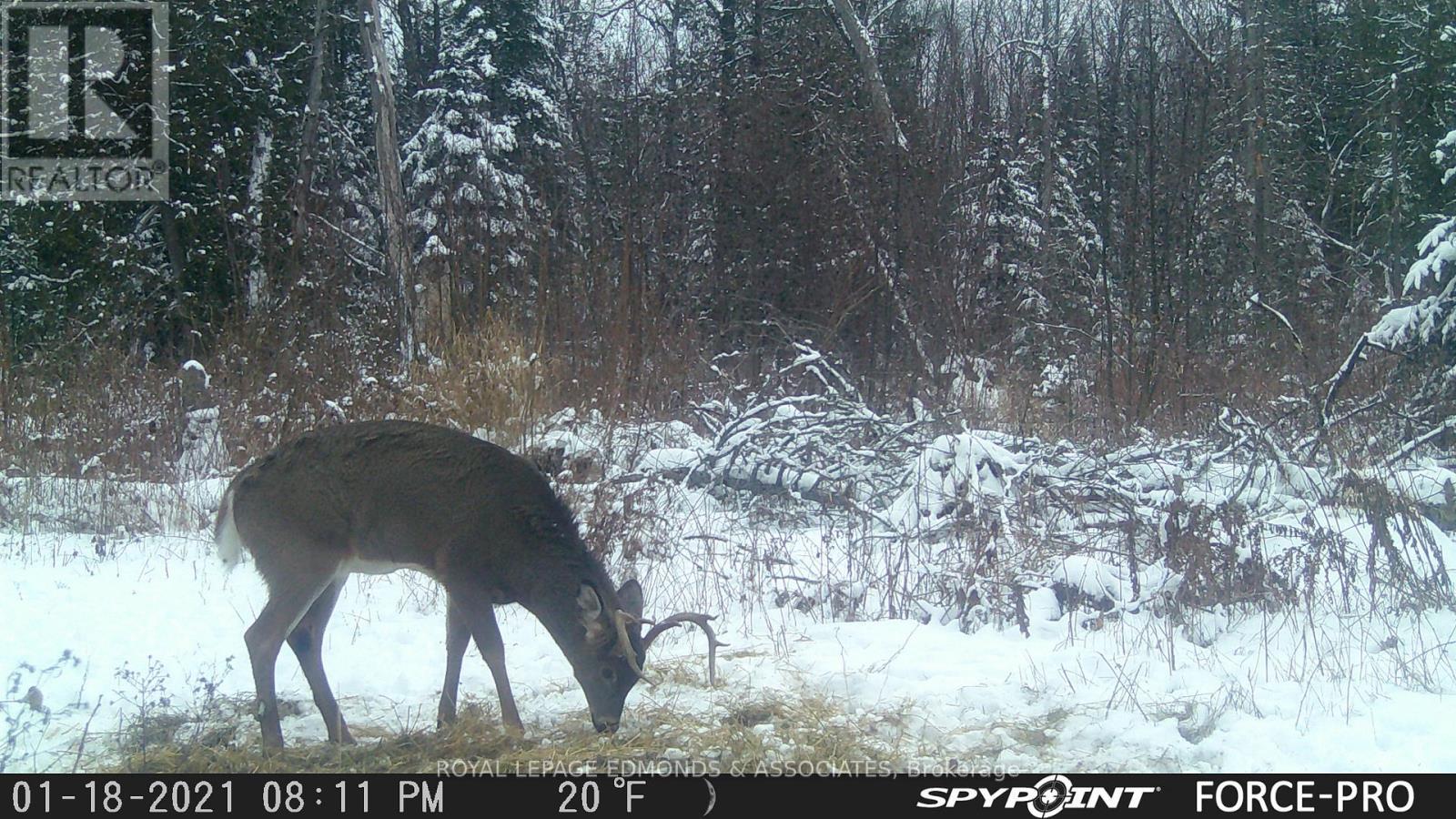 












0000 NANGOR TRAIL

,
Whitewater Region,







Ontario
K0J2L0

