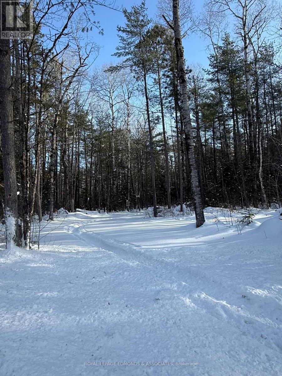 












0000 NANGOR TRAIL

,
Whitewater Region,







Ontario
K0J2L0

