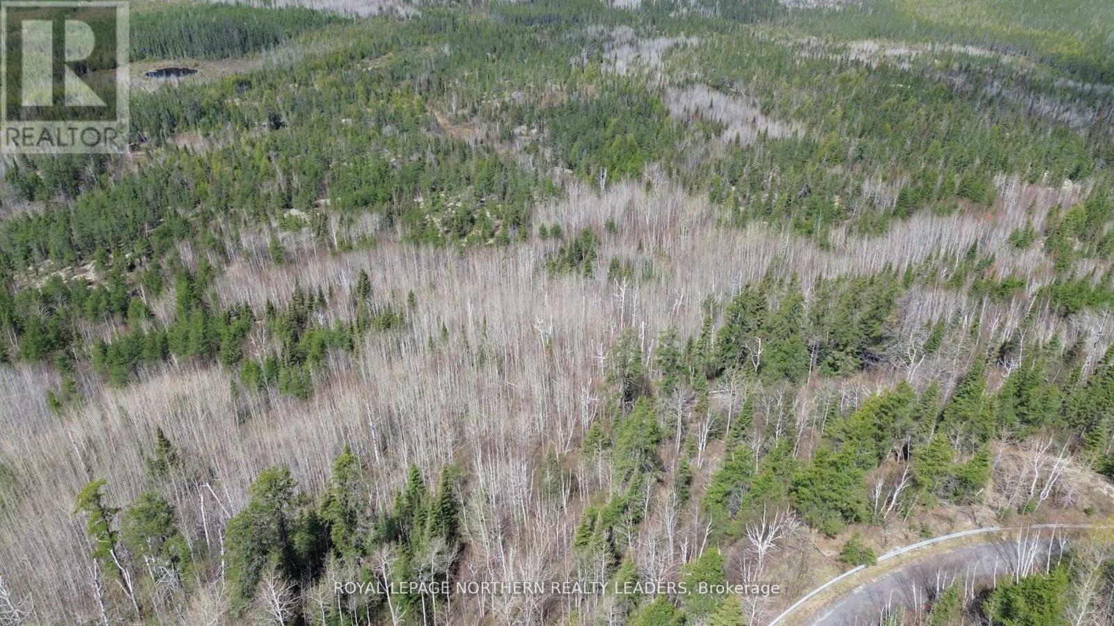 












1619 LAVA MOUNTAIN ROAD

,
Black River-Matheson (Matheson),







Ontario
P0K1R0

