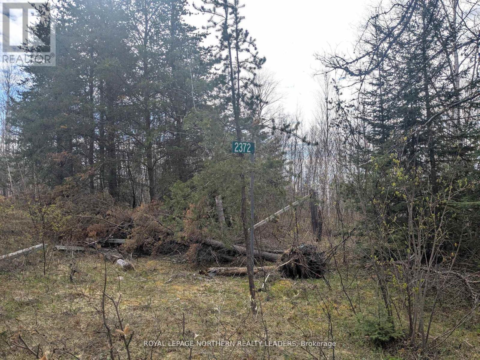 












1619 LAVA MOUNTAIN ROAD

,
Black River-Matheson (Matheson),







Ontario
P0K1R0

