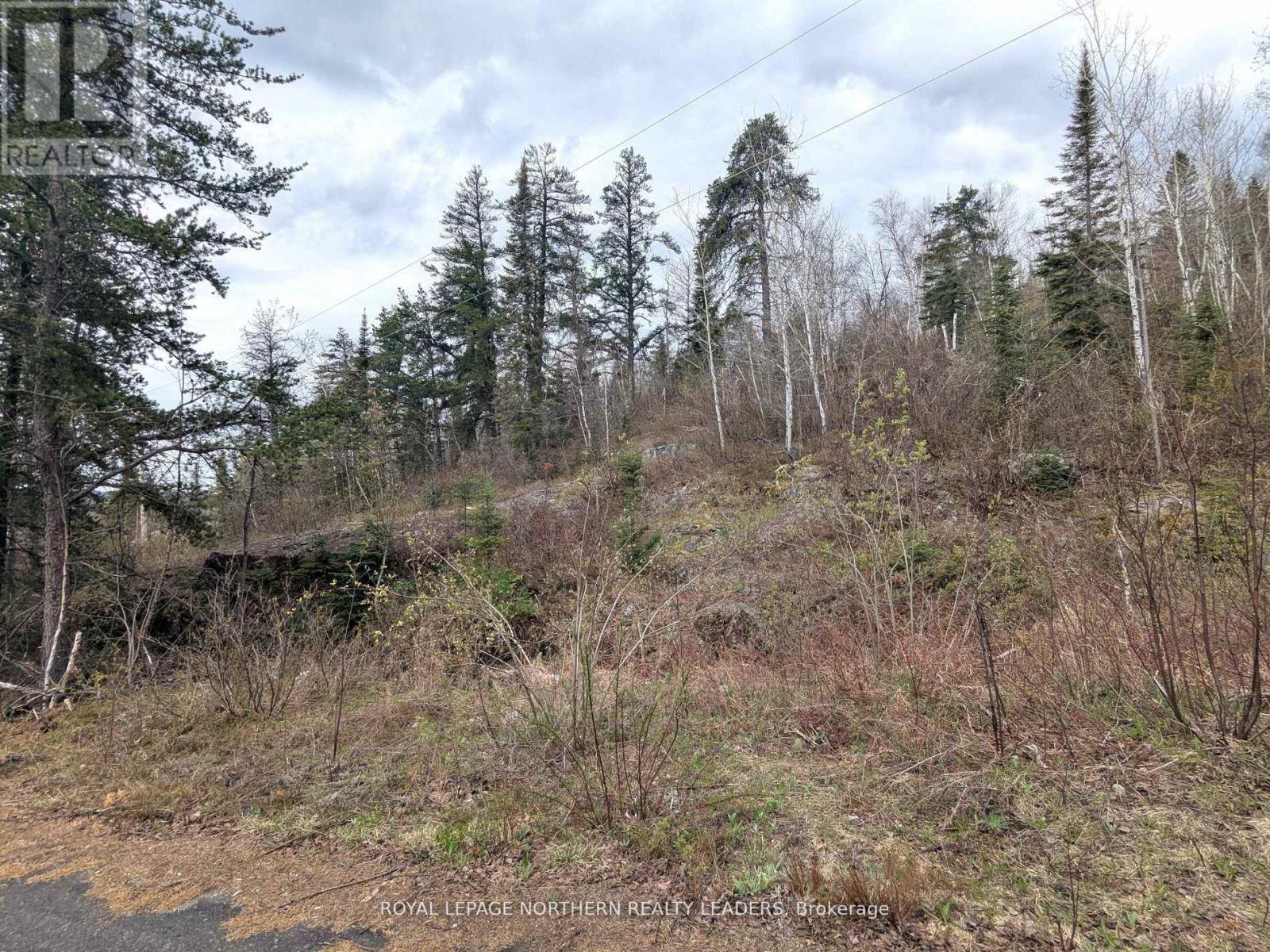 












1619 LAVA MOUNTAIN ROAD

,
Black River-Matheson (Matheson),







Ontario
P0K1R0

