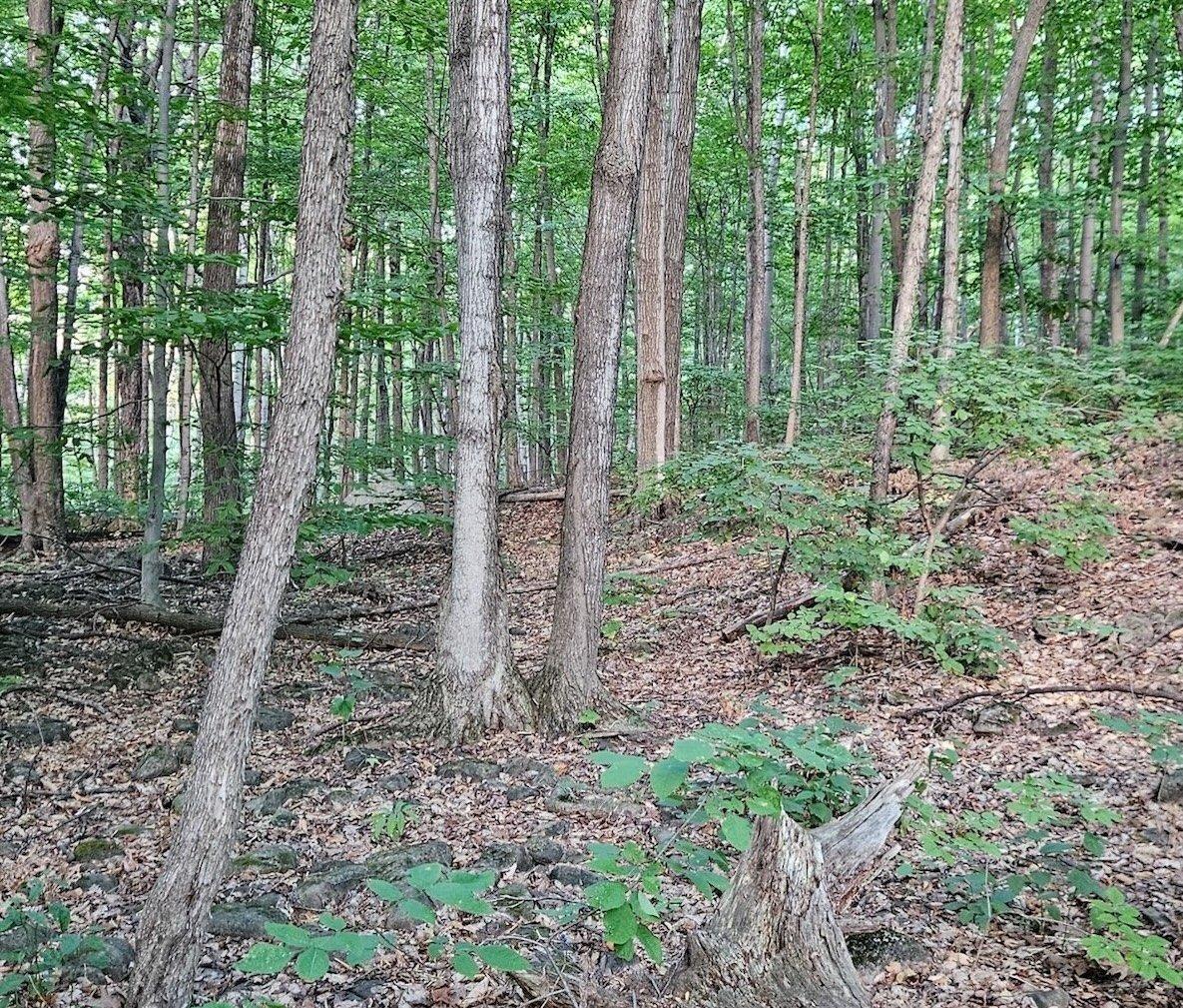 












Boul. Lakeview

,
Beaconsfield,







QC
H9W4S3

