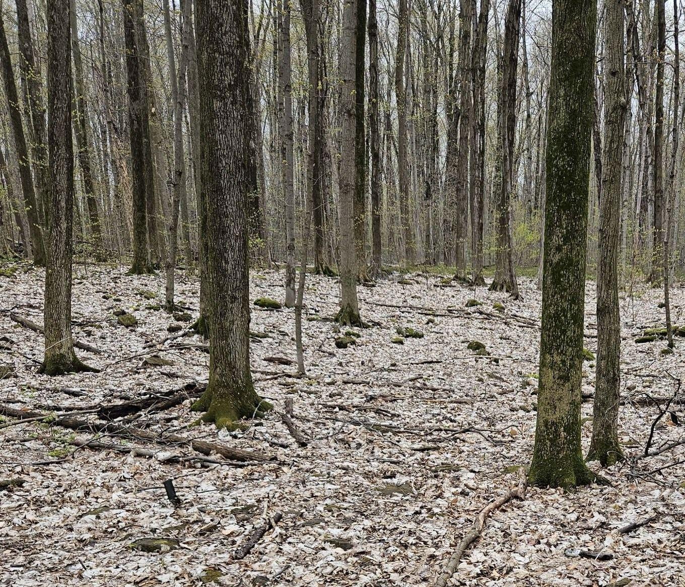 












Boul. Lakeview

,
Beaconsfield,







QC
H9W4S3

