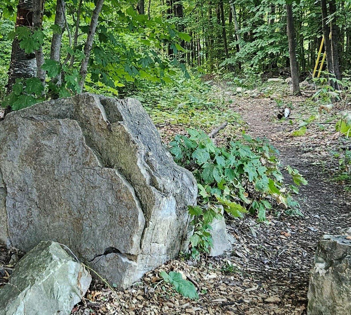 












Boul. Lakeview

,
Beaconsfield,







QC
H9W4S3

