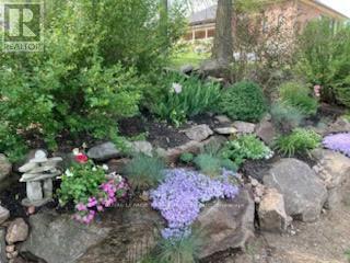 












1898 LAKEHURST ROAD

,
Trent Lakes,




Ontario
K0L1J0

