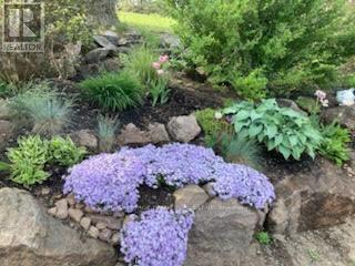 












1898 LAKEHURST ROAD

,
Trent Lakes,




Ontario
K0L1J0

